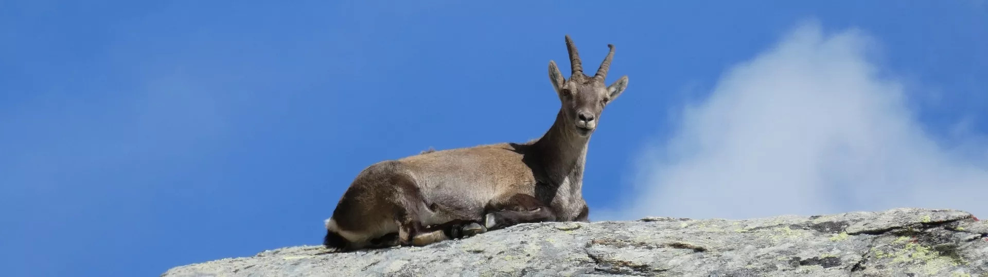 PARC DU MERCANTOUR ET VALLÉE DES MERVEILLES