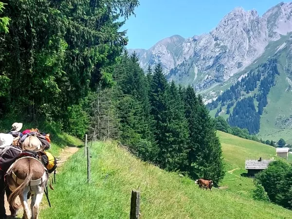 A PETITS PAS DANS LES ARAVIS