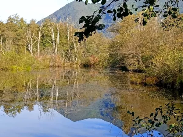EVASION AUTOUR DE L'EAU DANS L'AIN