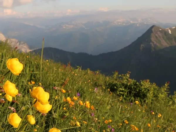 PANORAMA DE MORZINE 