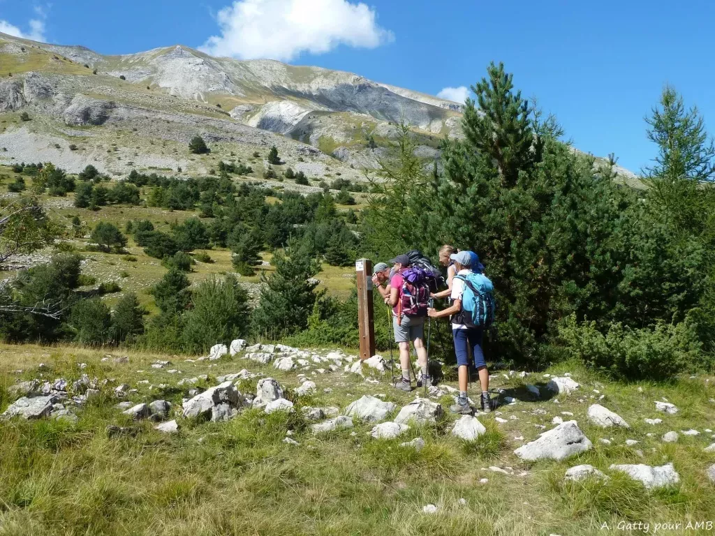 media-librarylht3e7i9b87p8DuHTqX